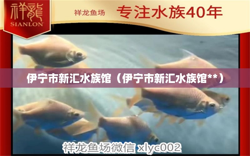 伊寧市新匯水族館（伊寧市新匯水族館**）