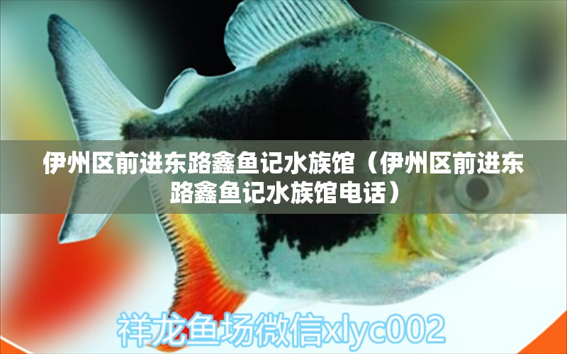 伊州區(qū)前進(jìn)東路鑫魚記水族館（伊州區(qū)前進(jìn)東路鑫魚記水族館電話）