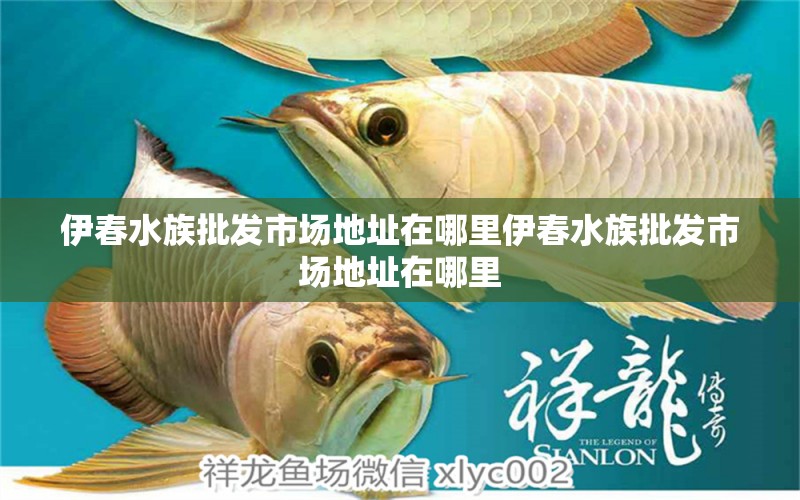 伊春水族批發(fā)市場地址在哪里伊春水族批發(fā)市場地址在哪里