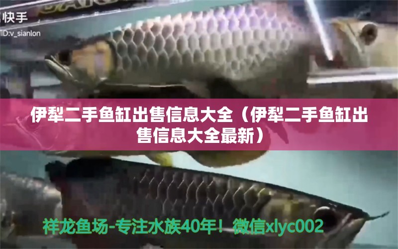 伊犁二手魚缸出售信息大全（伊犁二手魚缸出售信息大全最新） 其他品牌魚缸