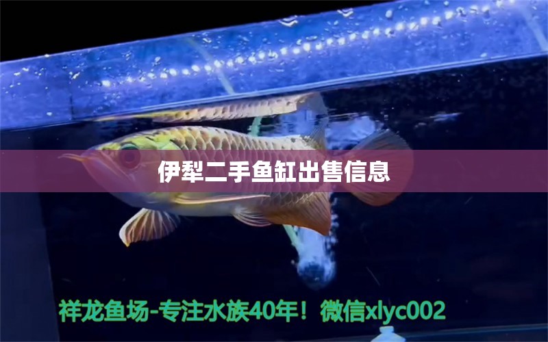 伊犁二手魚缸出售信息