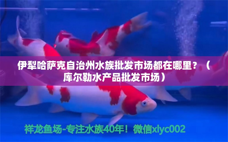 伊犁哈薩克自治州水族批發(fā)市場(chǎng)都在哪里？（庫(kù)爾勒水產(chǎn)品批發(fā)市場(chǎng)）