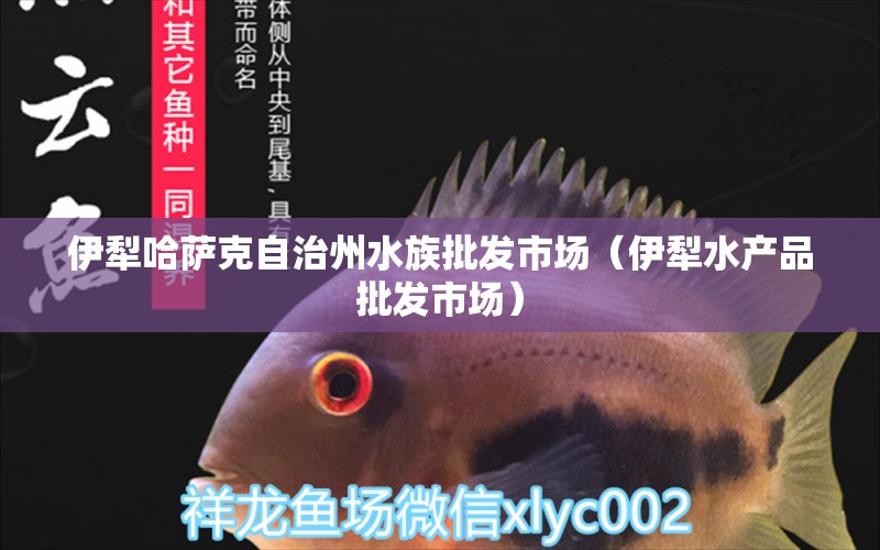 伊犁哈薩克自治州水族批發(fā)市場(chǎng)（伊犁水產(chǎn)品批發(fā)市場(chǎng)）