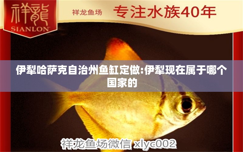 伊犁哈薩克自治州魚缸定做:伊犁現(xiàn)在屬于哪個國家的