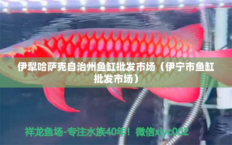 伊犁哈薩克自治州魚缸批發(fā)市場（伊寧市魚缸批發(fā)市場）