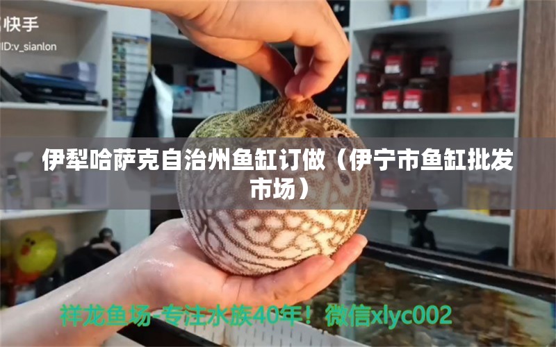 伊犁哈薩克自治州魚缸訂做（伊寧市魚缸批發(fā)市場）