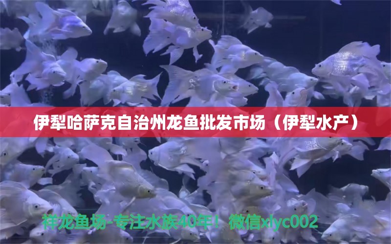 伊犁哈薩克自治州龍魚批發(fā)市場（伊犁水產(chǎn)）