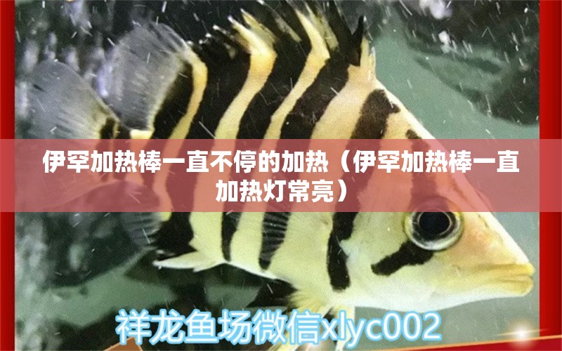 伊罕加熱棒一直不停的加熱（伊罕加熱棒一直加熱燈常亮）