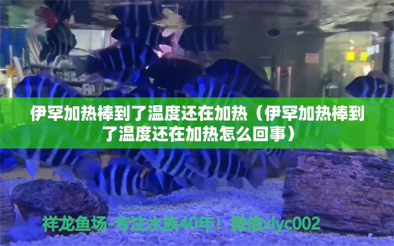 伊罕加熱棒到了溫度還在加熱（伊罕加熱棒到了溫度還在加熱怎么回事）