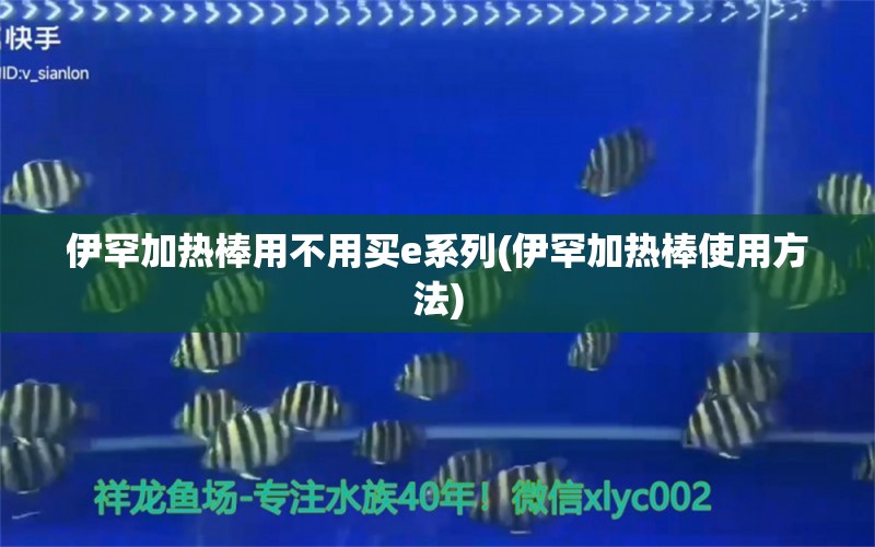 伊罕加熱棒用不用買(mǎi)e系列(伊罕加熱棒使用方法) 伊罕水族 第1張