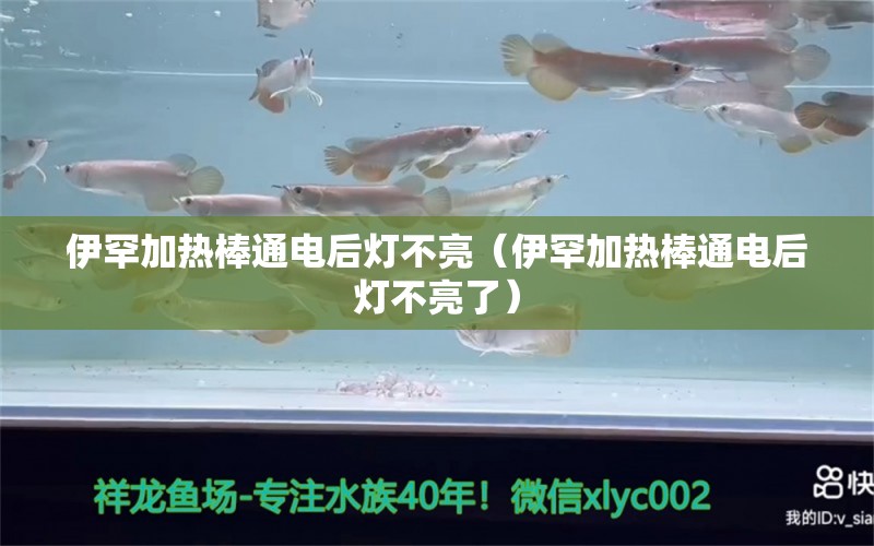 伊罕加熱棒通電后燈不亮（伊罕加熱棒通電后燈不亮了） 伊罕水族