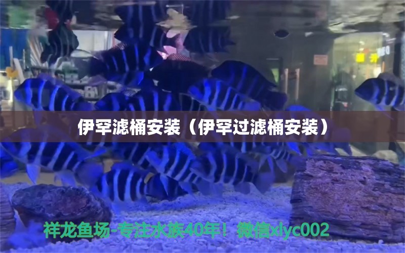 伊罕濾桶安裝（伊罕過濾桶安裝） 伊罕水族