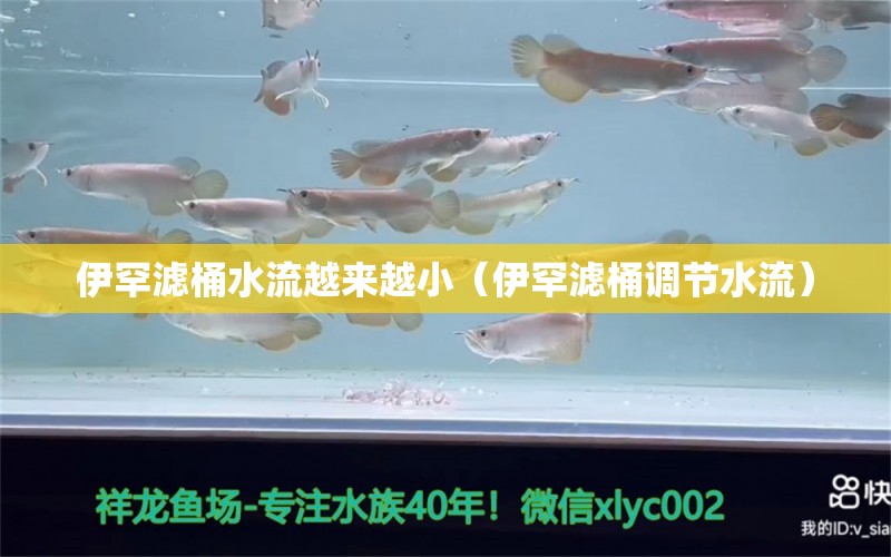 伊罕濾桶水流越來越?。ㄒ梁睘V桶調(diào)節(jié)水流） 伊罕水族