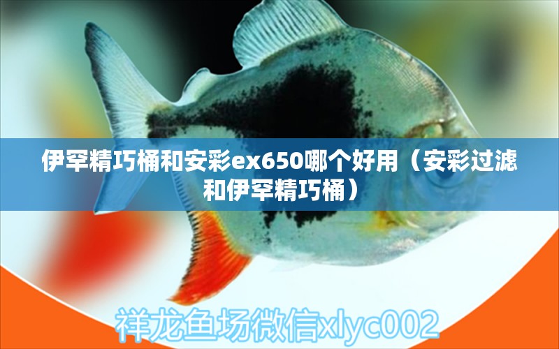 伊罕精巧桶和安彩ex650哪個(gè)好用（安彩過濾和伊罕精巧桶）