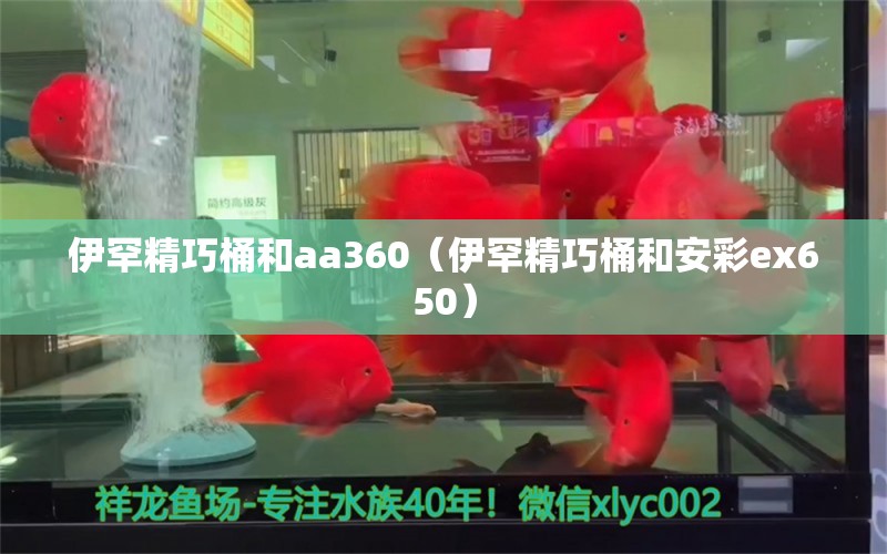 伊罕精巧桶和aa360（伊罕精巧桶和安彩ex650）