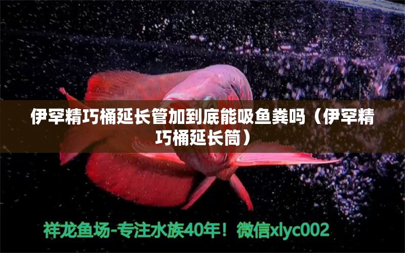 伊罕精巧桶延長管加到底能吸魚糞嗎（伊罕精巧桶延長筒）