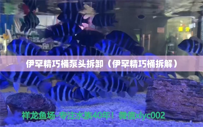 伊罕精巧桶泵頭拆卸（伊罕精巧桶拆解）