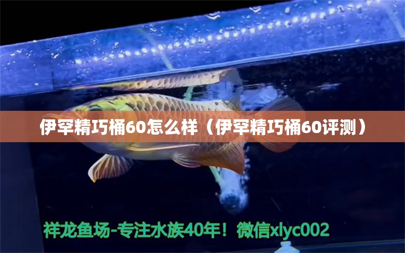 伊罕精巧桶60怎么樣（伊罕精巧桶60評(píng)測）