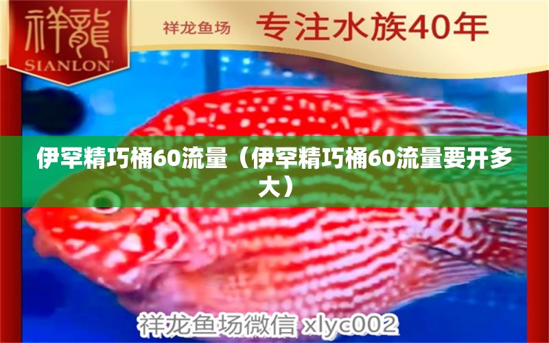 伊罕精巧桶60流量（伊罕精巧桶60流量要開多大） 伊罕水族