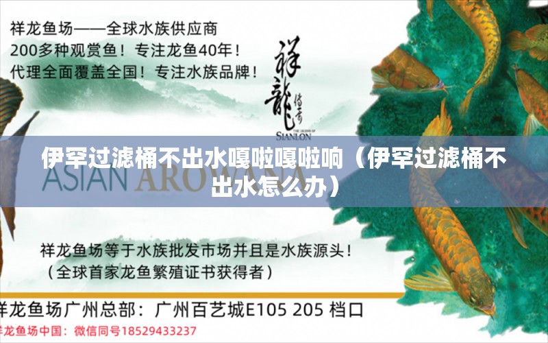 伊罕過濾桶不出水嘎啦嘎啦響（伊罕過濾桶不出水怎么辦） 伊罕水族