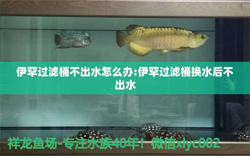 伊罕過濾桶不出水怎么辦:伊罕過濾桶換水后不出水 伊罕水族 第1張