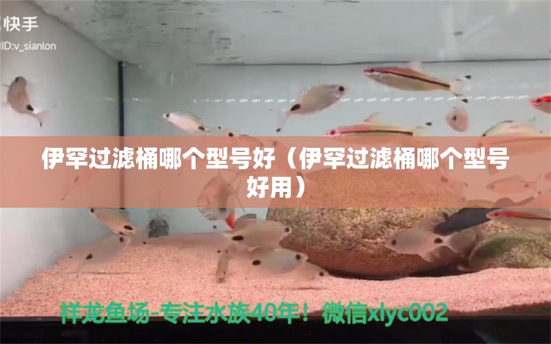 伊罕過濾桶哪個型號好（伊罕過濾桶哪個型號好用）