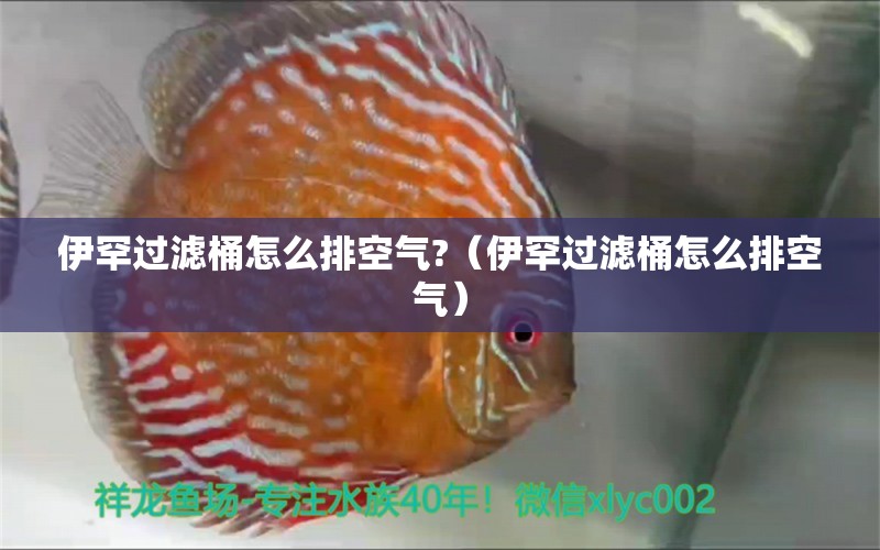 伊罕過濾桶怎么排空氣?（伊罕過濾桶怎么排空氣） 伊罕水族