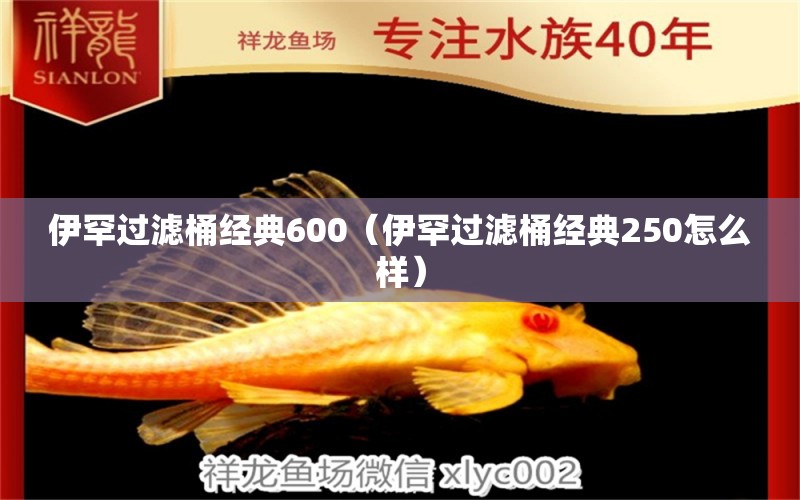 伊罕過(guò)濾桶經(jīng)典600（伊罕過(guò)濾桶經(jīng)典250怎么樣）