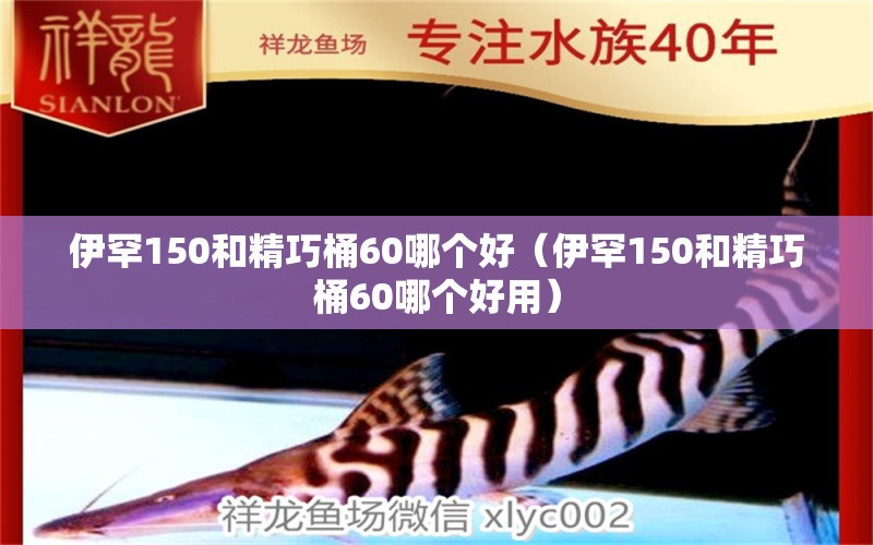 伊罕150和精巧桶60哪個好（伊罕150和精巧桶60哪個好用）