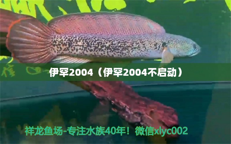 伊罕2004（伊罕2004不啟動） 伊罕水族