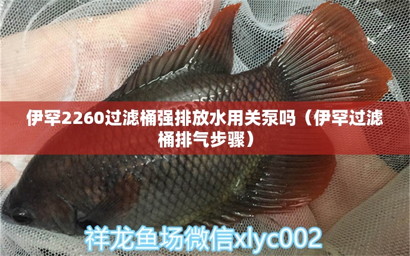 伊罕2260過(guò)濾桶強(qiáng)排放水用關(guān)泵嗎（伊罕過(guò)濾桶排氣步驟）