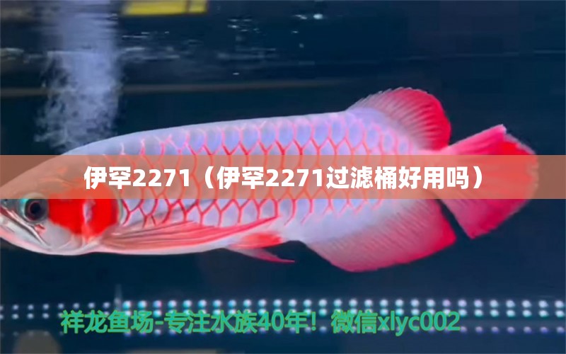 伊罕2271（伊罕2271過濾桶好用嗎）