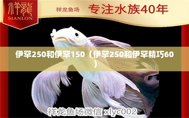 伊罕250和伊罕150（伊罕250和伊罕精巧60）