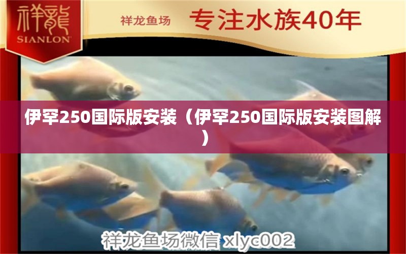 伊罕250國際版安裝（伊罕250國際版安裝圖解） 伊罕水族