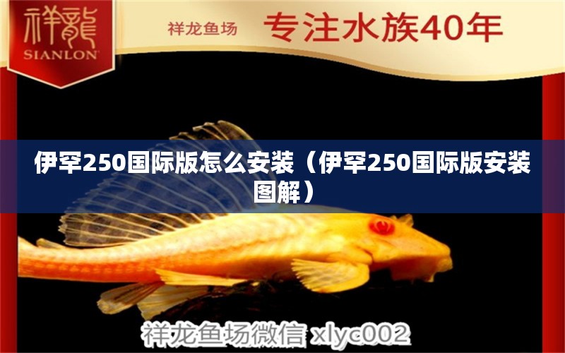 伊罕250國(guó)際版怎么安裝（伊罕250國(guó)際版安裝圖解）