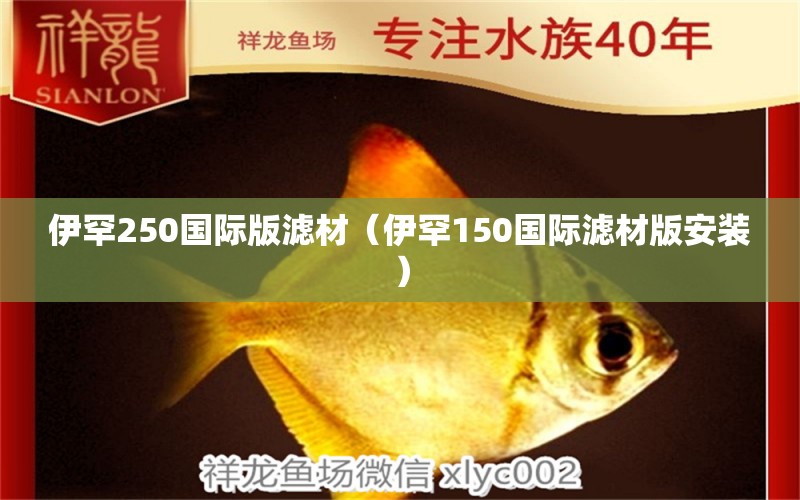 伊罕250國際版濾材（伊罕150國際濾材版安裝）