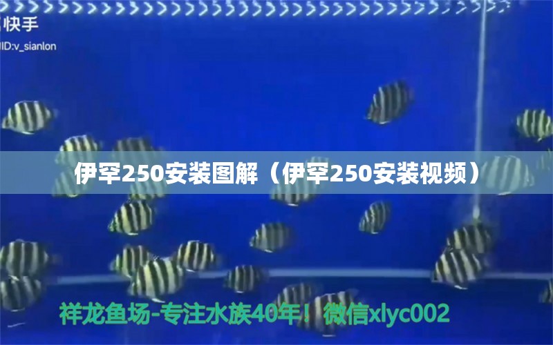 伊罕250安裝圖解（伊罕250安裝視頻） 伊罕水族