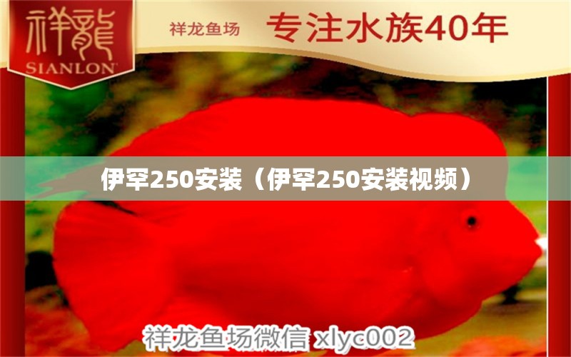 伊罕250安裝（伊罕250安裝視頻）