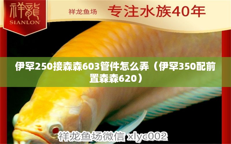 伊罕250接森森603管件怎么弄（伊罕350配前置森森620）