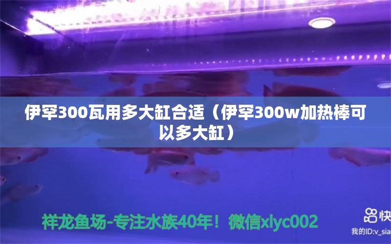 伊罕300瓦用多大缸合適（伊罕300w加熱棒可以多大缸）