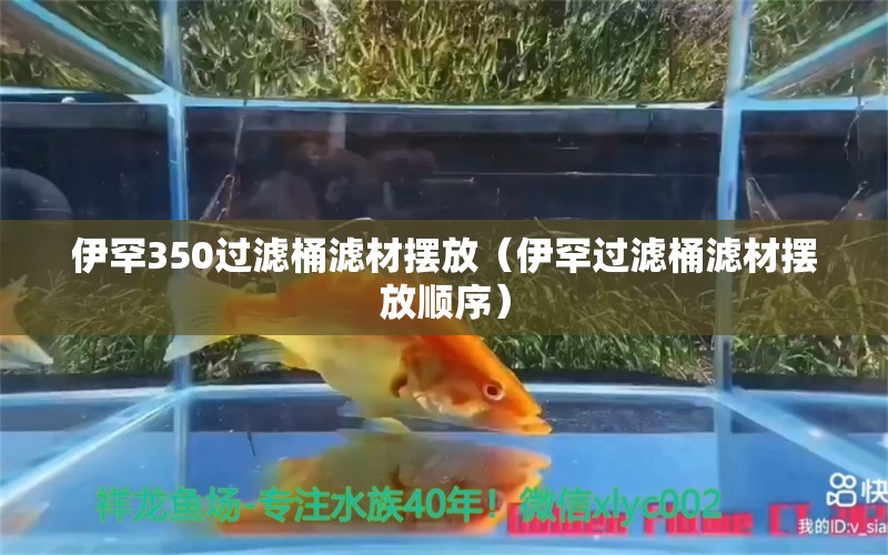 伊罕350過濾桶濾材擺放（伊罕過濾桶濾材擺放順序）