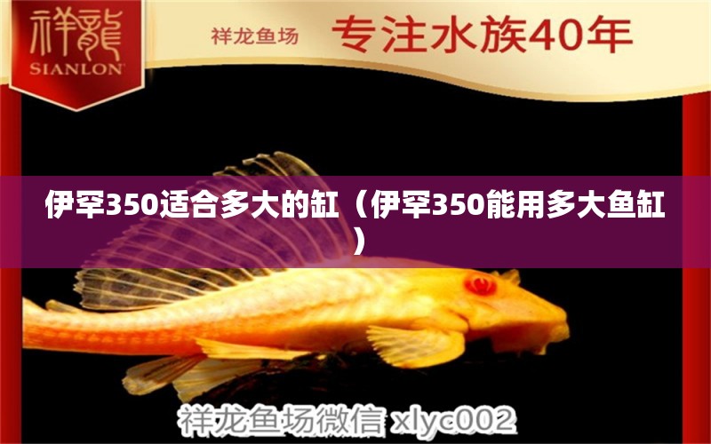 伊罕350適合多大的缸（伊罕350能用多大魚缸） 伊罕水族