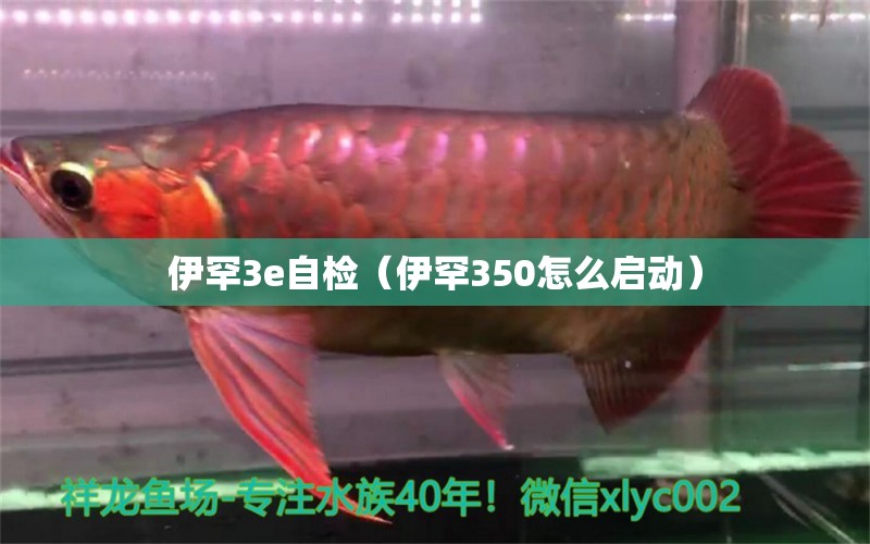 伊罕3e自檢（伊罕350怎么啟動）