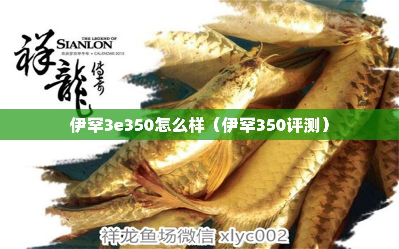 伊罕3e350怎么樣（伊罕350評(píng)測(cè)） 伊罕水族