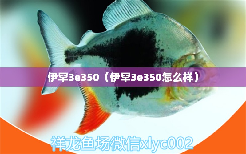 伊罕3e350（伊罕3e350怎么樣）