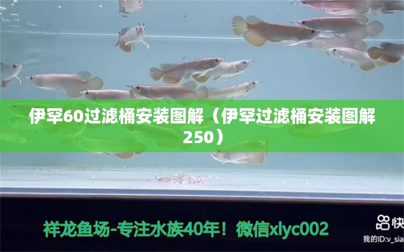 伊罕60過濾桶安裝圖解（伊罕過濾桶安裝圖解250） 伊罕水族