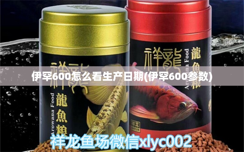 伊罕600怎么看生產(chǎn)日期(伊罕600參數(shù)) 伊罕水族