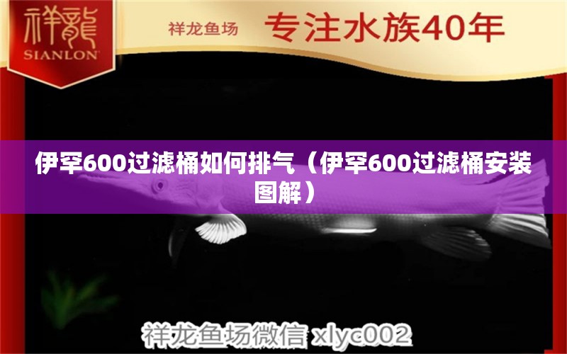 伊罕600過(guò)濾桶如何排氣（伊罕600過(guò)濾桶安裝圖解）