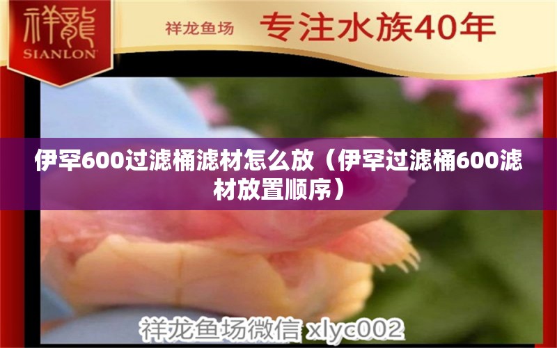 伊罕600過濾桶濾材怎么放（伊罕過濾桶600濾材放置順序） 伊罕水族