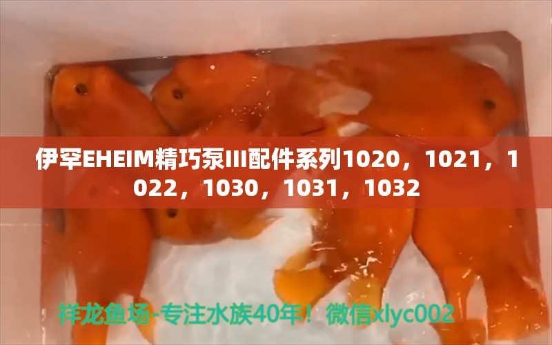 伊罕EHEIM精巧泵III配件系列1020，1021，1022，1030，1031，1032